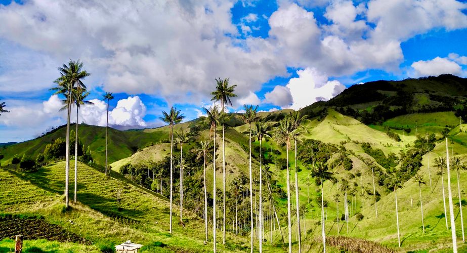 Samaria Vallei uitzicht Samaria Vallei uitzicht
